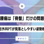 産後腰痛は「骨盤」だけの問題なのか  ―整形外科理学療法士が見落としやすい姿勢戦略―