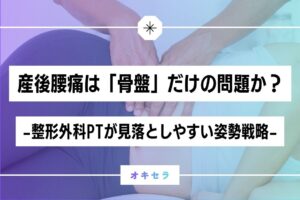 産後腰痛は「骨盤」だけの問題なのか  ―整形外科理学療法士が見落としやすい姿勢戦略―