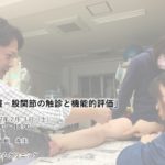 「骨盤帯−股関節の触診と機能評価」【沖縄開催】