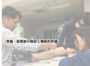 「骨盤帯−股関節の触診と機能評価」【沖縄開催】