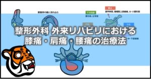 〔2/15〕整形外科外来リハビリにおける膝痛・肩痛・腰痛の治療法