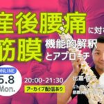【オンライン】産後腰痛の筋膜機能的解釈とアプローチ
